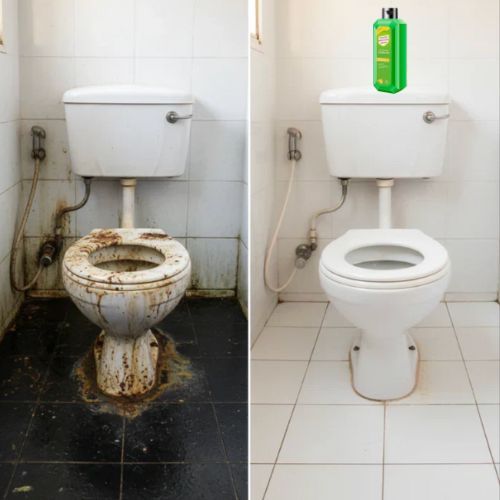 𝐔𝐥𝐭𝐫𝐚 𝐌𝐮𝐥𝐭𝐢𝐟𝐮𝐧𝐜𝐭𝐢𝐨𝐧𝐚𝐥 𝐂𝐥𝐞𝐚𝐧𝐞𝐫 - [𝐏𝐚𝐜𝐤 𝐨𝐟 4]